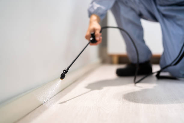 Licensed Mosquito Control service in Jackson, SC - Show Me Pest Control