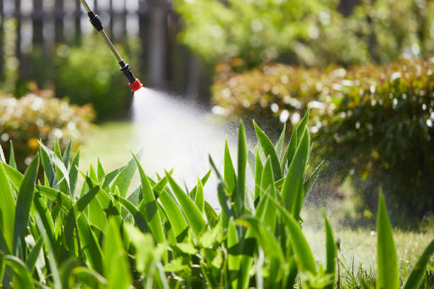 24/7 Emergency Mosquito Control experts in Jackson, SC