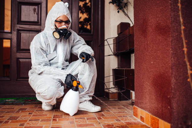 Reliable Mosquito Control contractor in Jackson, SC by Show Me Pest Control